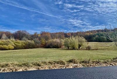 Teren Construcții intravilan de 22800 mp, în Mihăești - 1