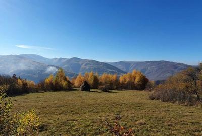 Teren de 13046 mp, în Muntele Rece - 7