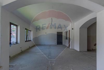 Casa saseasca cu Poveste/ Bogata Olteana/ Hoghiz - 12