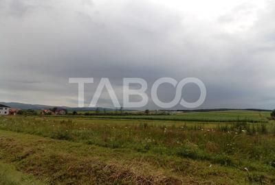 Teren de vanzare 10000 mp CF 107274 deschidere de 42 m in Sura Mica - 3