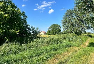 TEREN INTRAVILAN, 1200 mp, HARMAN, COMISION 0% TEREN INTRAVILAN, 1200 mp, HARMAN, COMISION 0% - 3