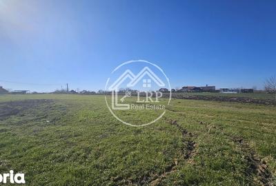 Teren de 646 mp, în Dascălu - 3