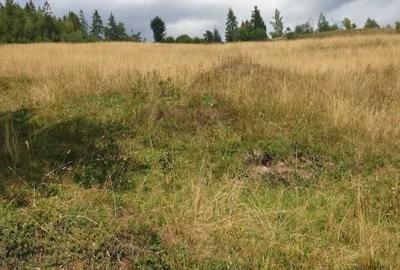 Teren de 60000 mp, în Vadu Moților - 2