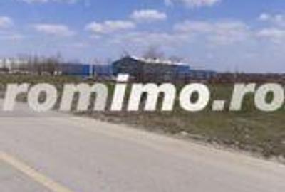 Teren de 38000 mp, în 1 Decembrie - 5