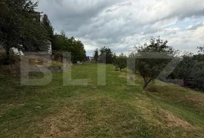 Casă cu 4 camere cu Teren 4800 Mp în Central - 14