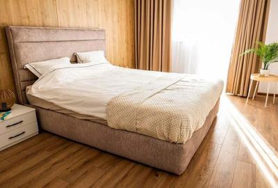 Apartament cu 2 camere decomandat, mobilat în Central - 2