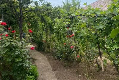 Casa de vanzare ! Casa de vanzare ! - 1