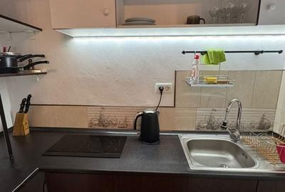 Calea Victoriei apartament 2 camere mobilate de inchiriat - 10