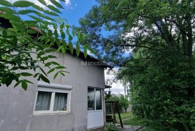 Casă individuală cu 5 camere cu Canalizare în Sânmihaiu Român - 9