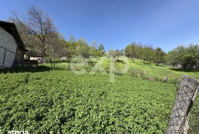 Teren de 14613 mp, în Tigveni - 6