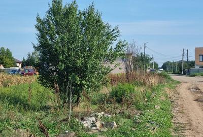 Vanzare Teren  construibil Cernica Balaceanca 1000mp - 3