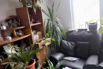 Casă cu Teren 300 Mp în Central - 1