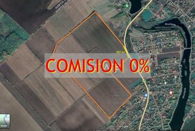 Teren intravilan, 40 ha, pretabil parc fotovoltaic /logistic - 29km de Bucuresti - 1