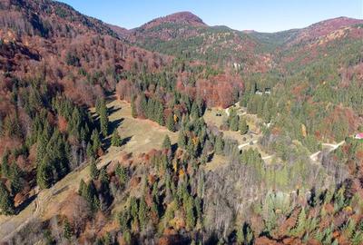 Teren Construcții extravilan de 20000 mp, în Siriu - 8