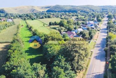 TEREN intravilan 6764 mp DRAGOMIRESTI - VAD - 2