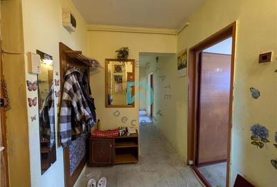Apartament cu 3 camere decomandat în Scriitorilor - 10