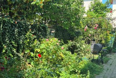 Iancului , Vatra Luminoasa - 23