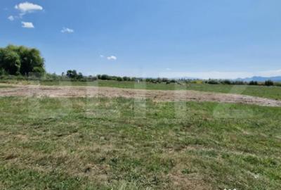 Teren de 6300 mp, în Hălchiu - 3