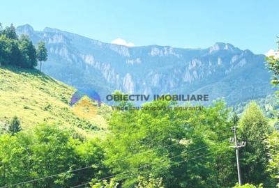 TEREN Izvoru Muntelui, langa orasul BICAZ - 3