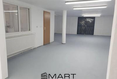 Hala industriala, 90mp zona Gusterita - 3