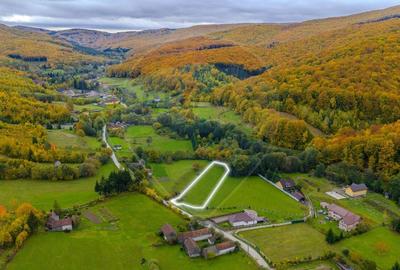 COMISION 0% Teren 3,109mp Dobarlau/ Partial intravilan - 3