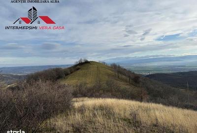 Teren de 8010 mp, în Vințu de Jos - 10