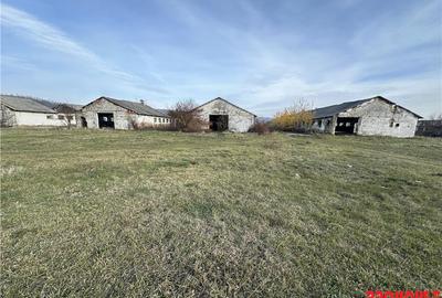 Platforma industriala 27.000mp - Racova - Buhusi - 3