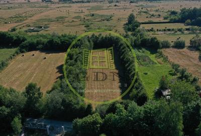 Teren agricol extravilan de 1413 mp, în Exterior Est - 10