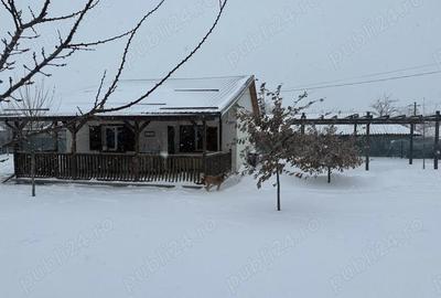 Casă cu 2 camere cu Teren 1250 Mp în Cămineasca - 2