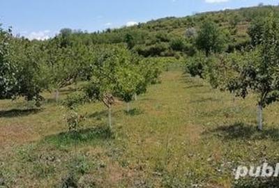 Teren de 2070 mp, în Manasia - 1