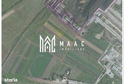Teren de 10439 mp, în Căzănești - 3