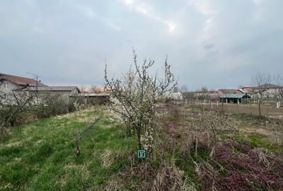 Teren intravilan de 1438 mp, în Recaș - 2