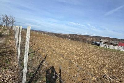 Teren de 3082 mp, în Copăcel - 1