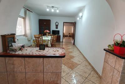 Vind casa mare în Sannicolau Mare - 4