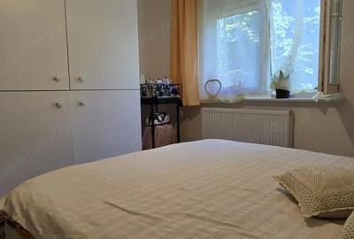 Apartament cu 3 camere decomandat în Zarand - 13