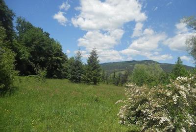 Teren de 10000 mp, în Central - 15