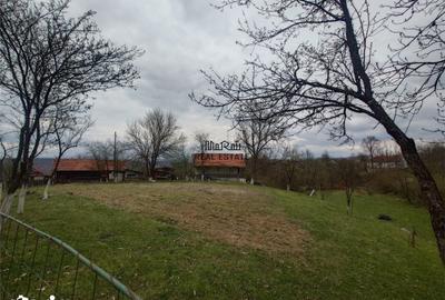 Teren de 9370 mp, în Baia de Criș - 14