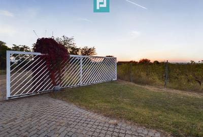 Casă individuală cu 6 camere cu Canalizare în Miniș - 52