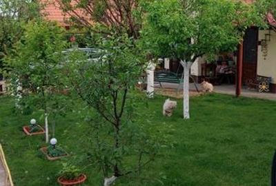 Casă cu 4 camere cu Teren 153 Mp în Central - 2