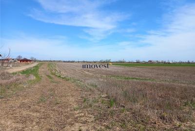 Teren Construcții intravilan de 731 mp, în Vetiș - 7