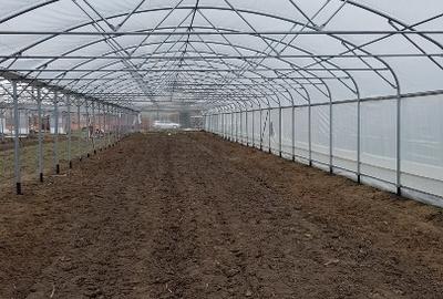 De vanzare sera legume spatiu de depozitare si utilaje agricole - 5