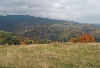 Teren de 60000 mp, în Vadu Moților