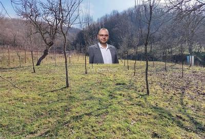 Teren de 1800 mp, în Ciclova Română - 5