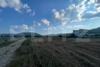 Teren de 5600 mp, în Industrială - 2