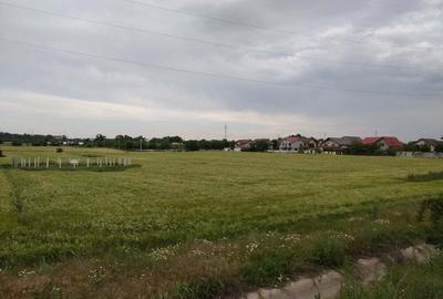 Teren în Fetești-Gară - 3