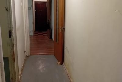 Baciului, Zetarilor strada Baciului, Zetarilor strada - 6