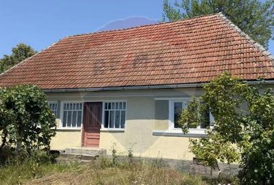 Casă cu 3 camere cu Teren 3760 Mp în Arieșu de Pădure - 11