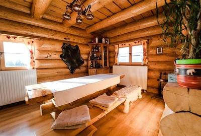 Casa din busteni cu ferma zootehnica si afacere (Tengheler, Com. Ditrau) - 5