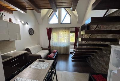 Apartament 2 camere Busteni Prahova sud est - 2