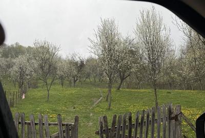 Spațiu comercial, în Corbi - 2